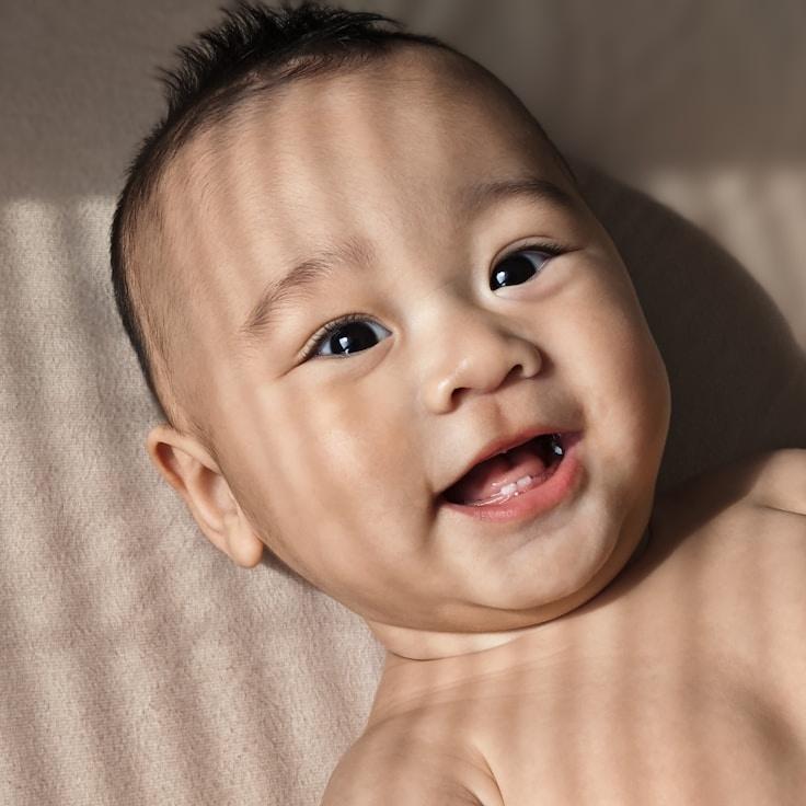 Landscape day trip near Amsterdam, Netherlands