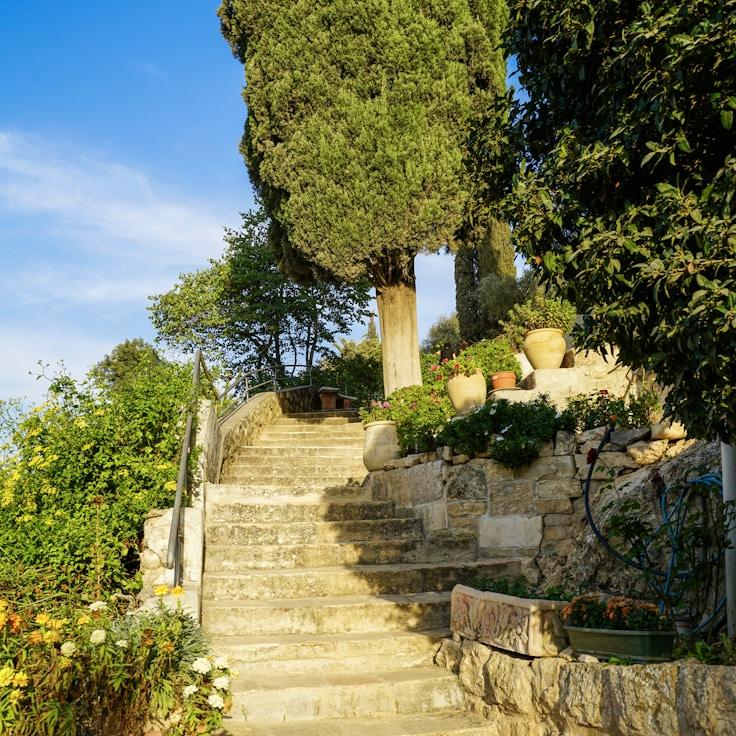 Outdoor terrace seating suitable for families in Amsterdam